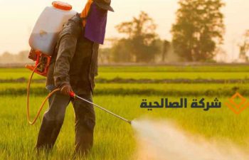 مكافحة حشرات بالرياض ورش المبيدات