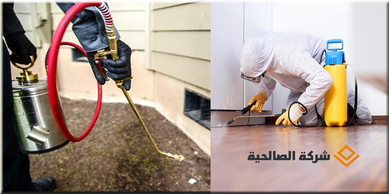مكافحة حشرات وغسيل الخزانات