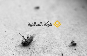 طرق سهلة للقضاء علي الحشرات نهائيا