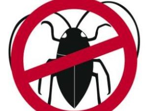 نصائح لمكافحة الحشرات