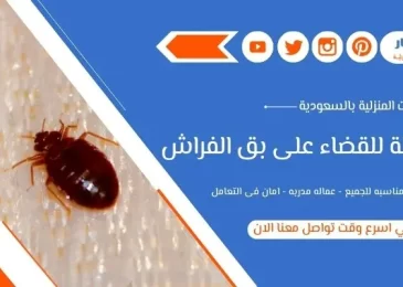 طرق فعالة للقضاء على بق الفراش